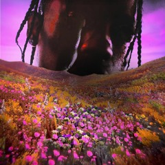 Travis Scott / Rl grime - goosebumps * Undo (30Jensen litterally did nothing mashup)