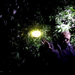 Don Fluor Y Morata - Atropic