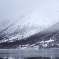 Lake People - Purity