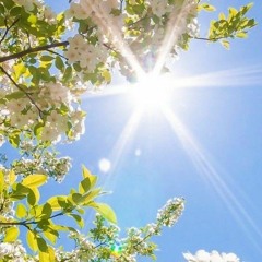 White Light(excerpt)