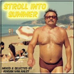 Stroll Into Summer (DEEZ SPEEDOS R SOULFUL MIX)