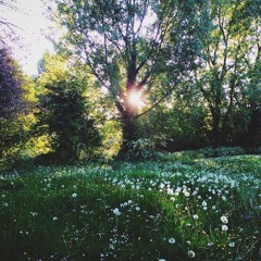 Symphony Of Abundance (excerpt)