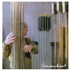 Harry Bertoia - Experimental I b/w Mechanical 1 - LP/CD - PRE - ORDER NOW