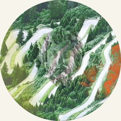 [P!LWHT002] UPnDOWN