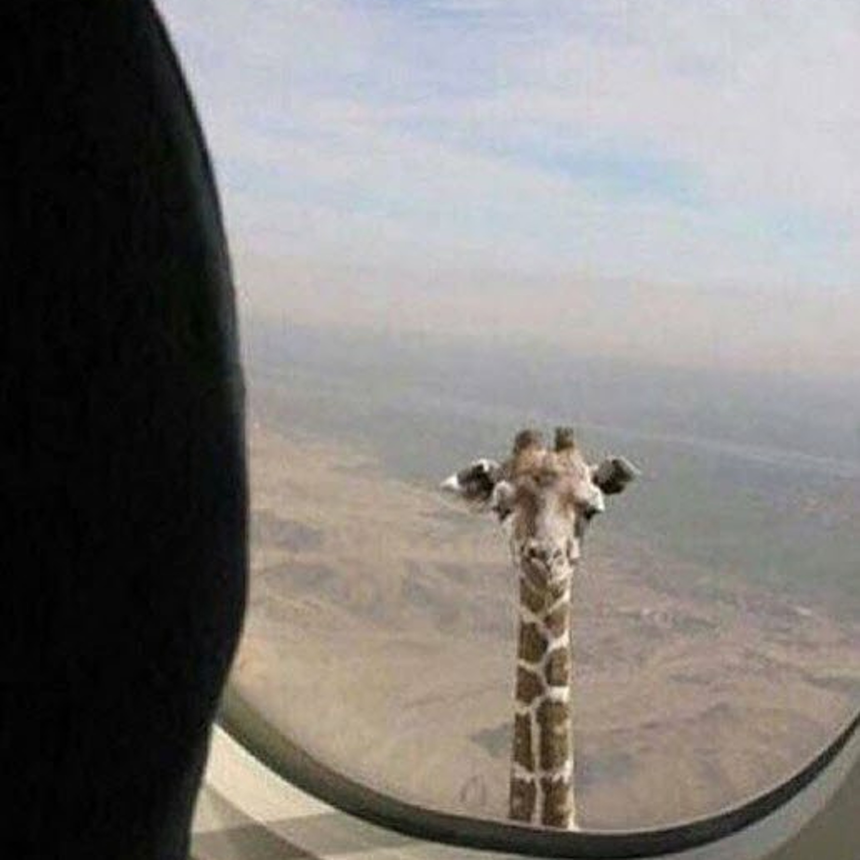 Rideshare Waynesters Fun House