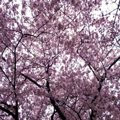 One Last Kiss (Rossi)