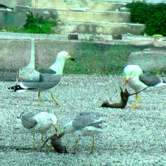 Pinc (feat. VIIRGIILE)