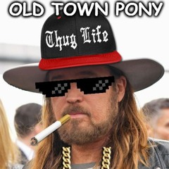 OLD TOWN PONY