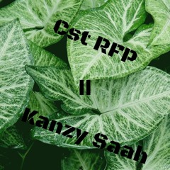 Cst RFP ll ( Kanzy Saah )2019