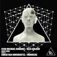 Ryan Michael Robbins, Reza Golroo - Data Cube (Monococ Remix)