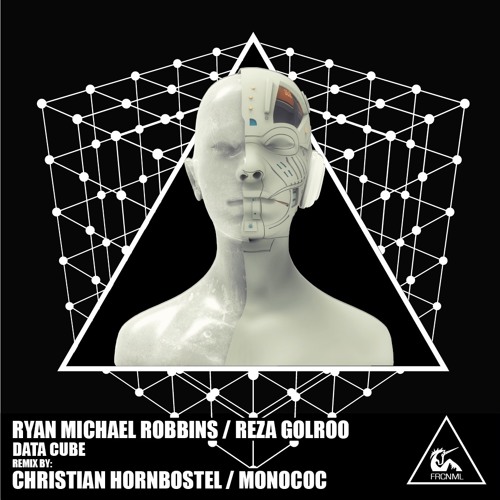 Ryan Michael Robbins, Reza Golroo - Data Cube (Monococ Remix)