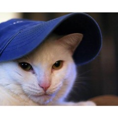 lauro sem sorte - lllucas (cover)