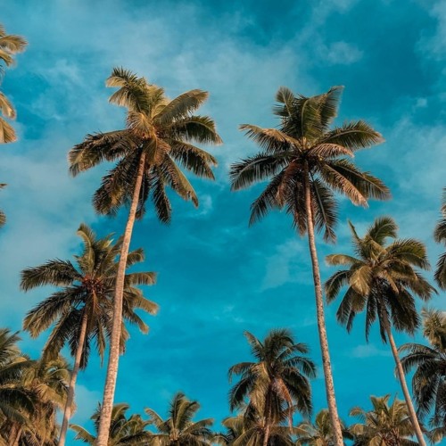 Stream In Case You Didnt Know Chicko_REGGAE REMIX_DjISAAC_DjCHARLIE