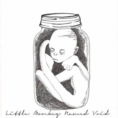 Little Monkey Named Void