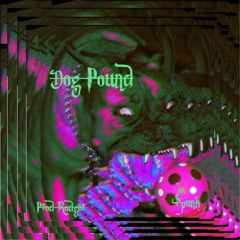 Dog Pound (Prod Rodger)