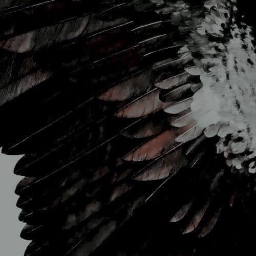 LOVEISALL (Feat. bad)