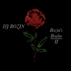Rozin's Realm Vol. 2