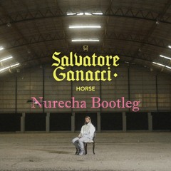 [FREE DL] Salvatore Ganacci - Horse (Nurecha Bootleg)
