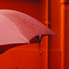 Officious Obturation