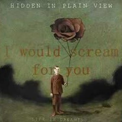 Hidden In Plain View - Bleed For You