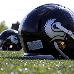 Interview Hamburg Swans