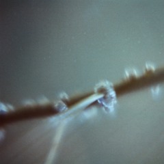 Náusea - improvisación en el escritorio abril, 2018