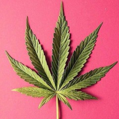 Marihuana ۵ [ prod • C-FRE$CHO]