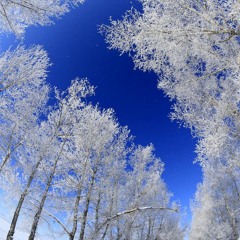 111.Super Star, 가져가, 처음 그대로, 돌아, Juliet, 3자대면, 야야야