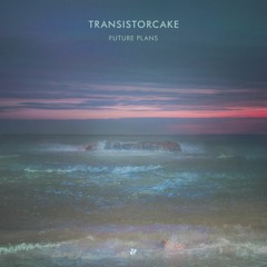 Transistorcake - Future Plan I