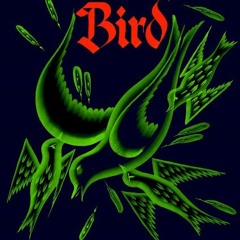 The Painted Bird NL
