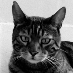 Sound Of Silence/El Condor Pasa (Simon and Garfunkel) Instrumental Jam