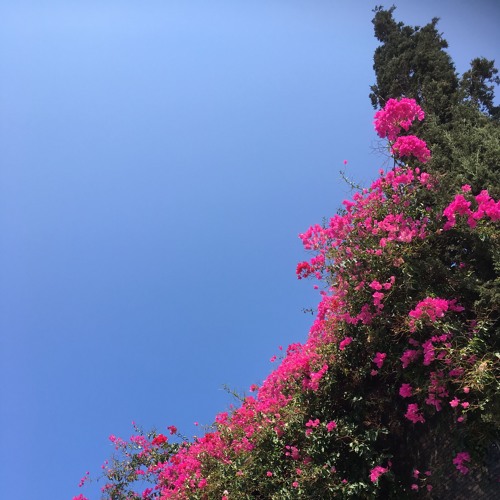 Untitled Playlist