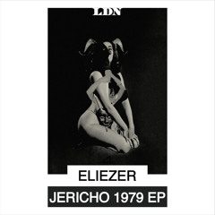 PREMIERE | Eliezer - White Snow (Niv Ast Remix) [La dame Noir Records]