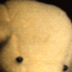 disquiet0385 - etude for yalpian fields