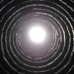 Rambutan - Temple Park