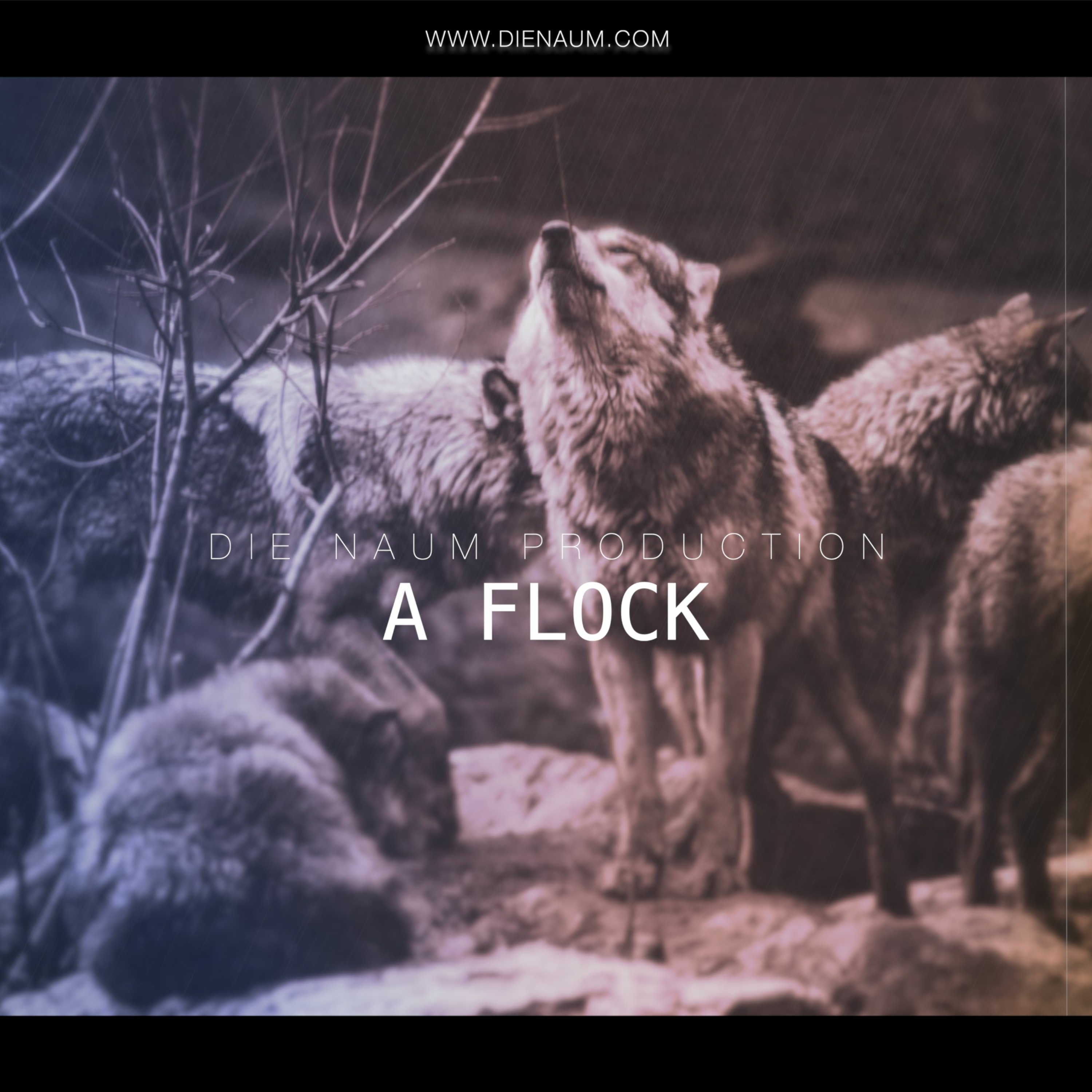 A FLOCK episode artwork
