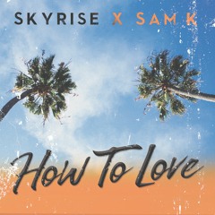 SKYrise & Sam K - How To Love