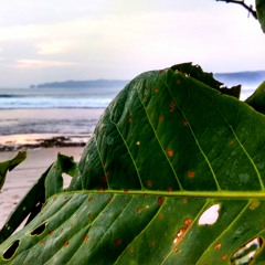 Akhir Sebuah Cerita( COVER ) Ega Noviantika