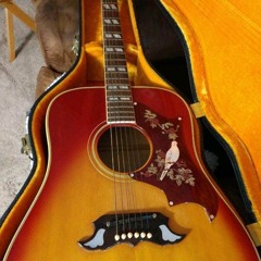 '69 Gibson Dove Guitar