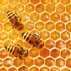 It's not just about the honey