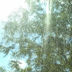 if you know you know