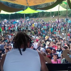 Set Bosck Encantado