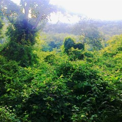 Eu Ligado Em Natureza