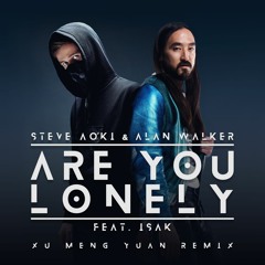 Steve Aoki & Alan Walker - Are You Lonely (feat. ISÁK) (XU MENG YUAN Remix)