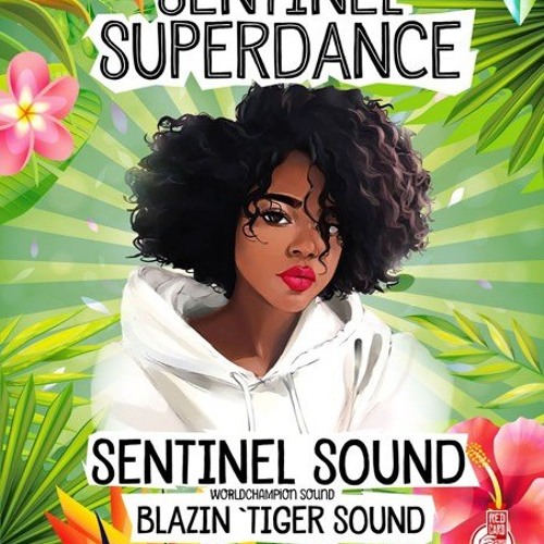 Sentinel Sound live at Sentinel Superdance, Berlin GER, 5.2019