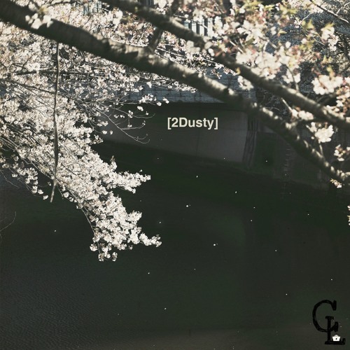 [2Dusty] (Beat Tape)