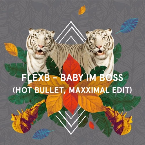 FlexB - Baby Im Boss (Hot Bullet, Maxximal Edit)