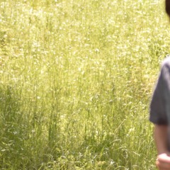 hallucinations..........