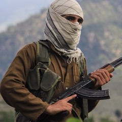 Un Taliban En New York