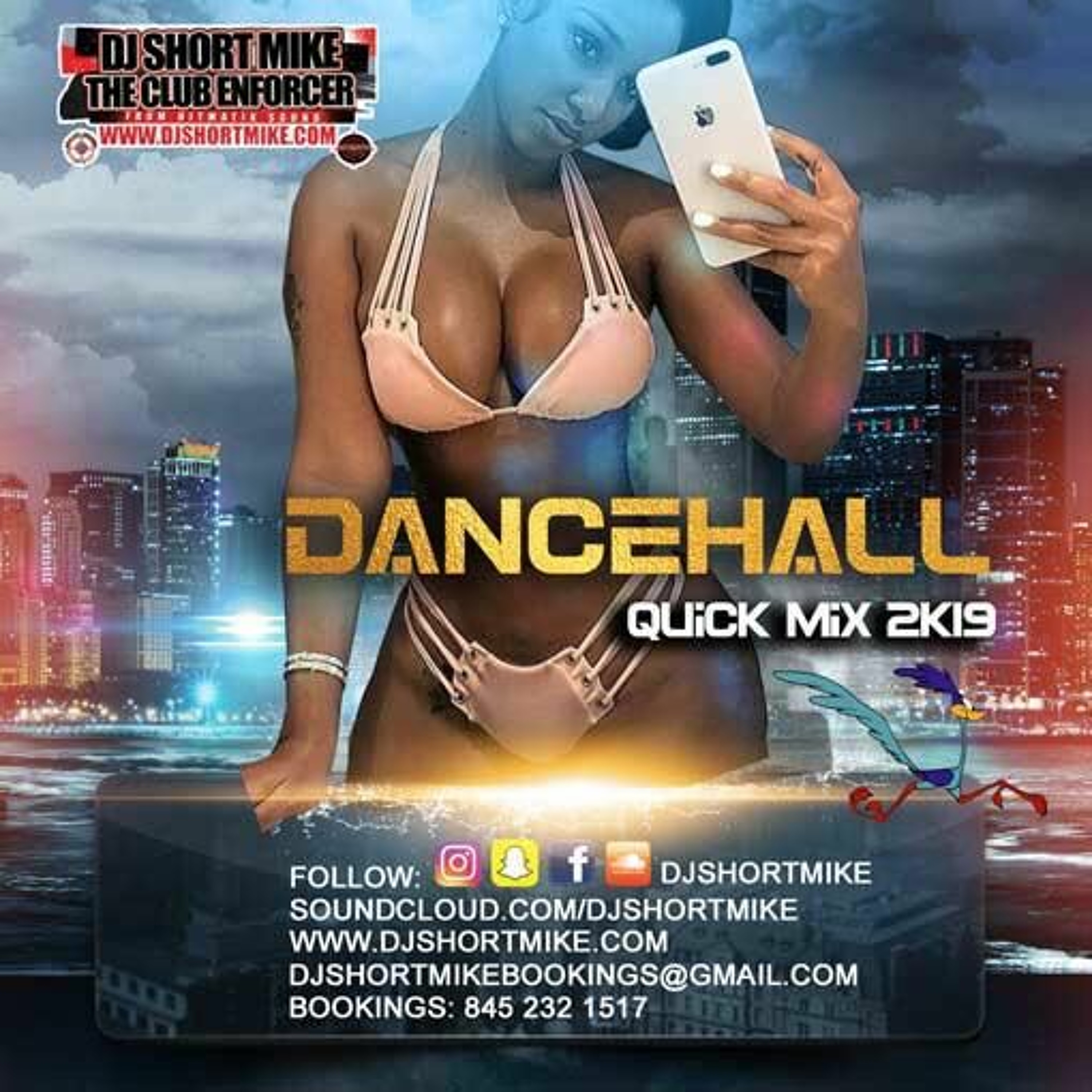 Dj Short Mike Presents (Clean) Dance Hall Quick Mix 2k19